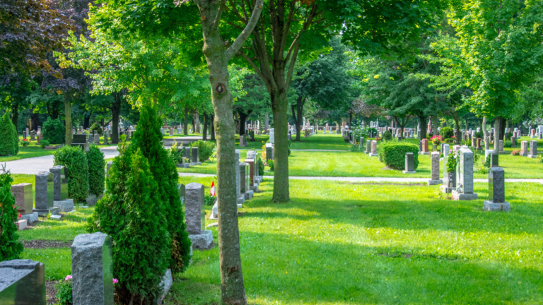 Cemetery Plot Laws: Ownership Transfers, Burial Rights, and Maintenance Duties