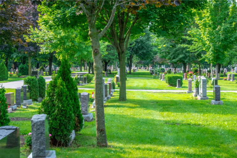 Cemetery Plot Laws: Ownership Transfers, Burial Rights, and Maintenance Duties